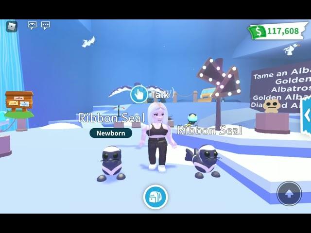 Bought Ribbon Seal pets Adopt Me Winter Update 2022 