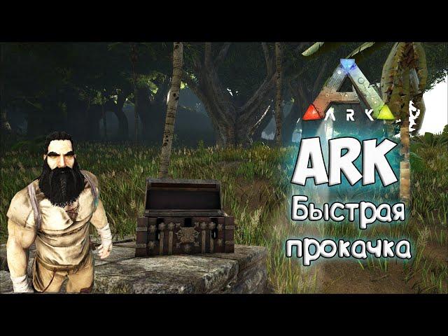 Быстрый старт прокачка персонажа на записках. Топовый гайд по игре  ARK: Survival Evolved.