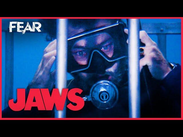 Hooper In The Shark Cage | JAWS (1975)