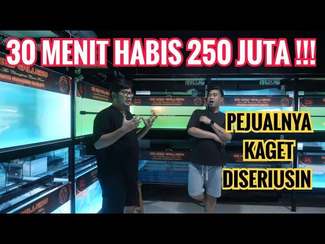 HUNNTING PERTAMA AWAL TAHUN !!! HABISKAN BUDGET 250 JUTA DALAM WAKTU SETENGAH JAM UNTUK BELI IKAN