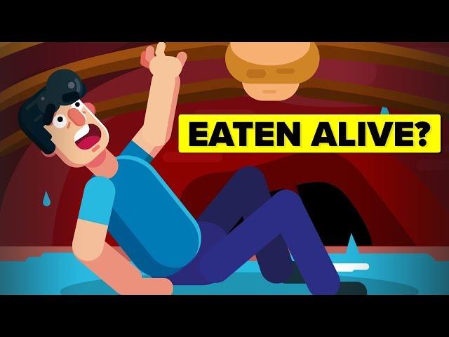 Horrific Ways People Have Been Eaten Alive