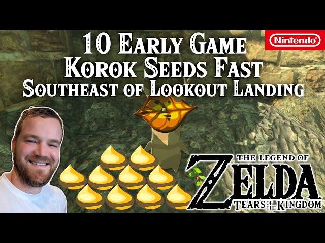 10 Korok Seeds Early Game FAST | Southeast of Lookout Landing | Zelda Tears of the Kingdom