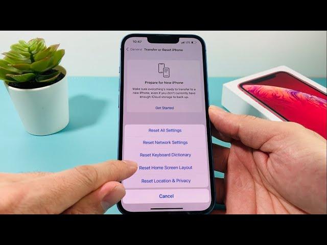 How to Reset Home Screen Layout on iPhone