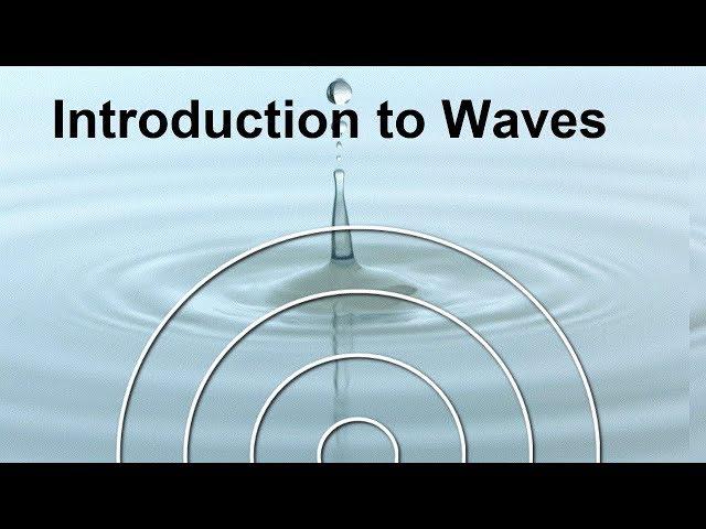 Physics Waves: Frequency & Wavelength FREE Science Lesson