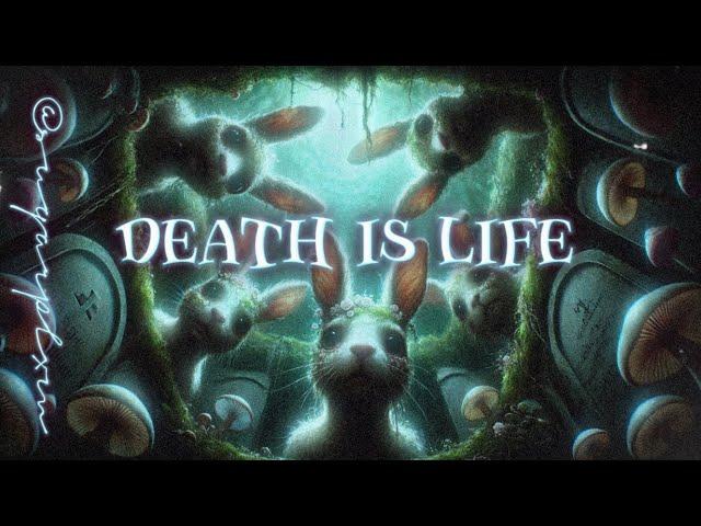 Inspired by Melanie Martinez: If ‘Death is life’ was a full song (sung by @suqarplxm - NO Al FILTER)