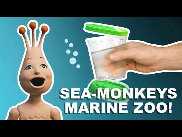 Is This The Worst Sea-Monkey Tank Ever Made? | Marine Zoo!