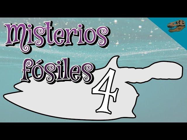 Misterios fósiles 4: Vetulicolios ¿Qué eran?