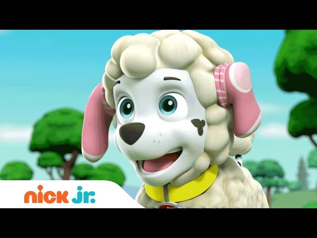 Nursery Rhyme Songs for Kids | Stay Home #WithMe | Music | Nick Jr.