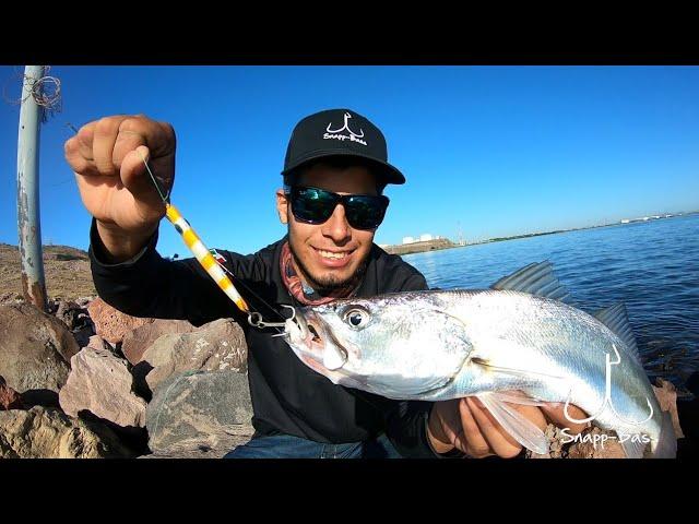 Pesca De Curvinas // Jigging De Orilla