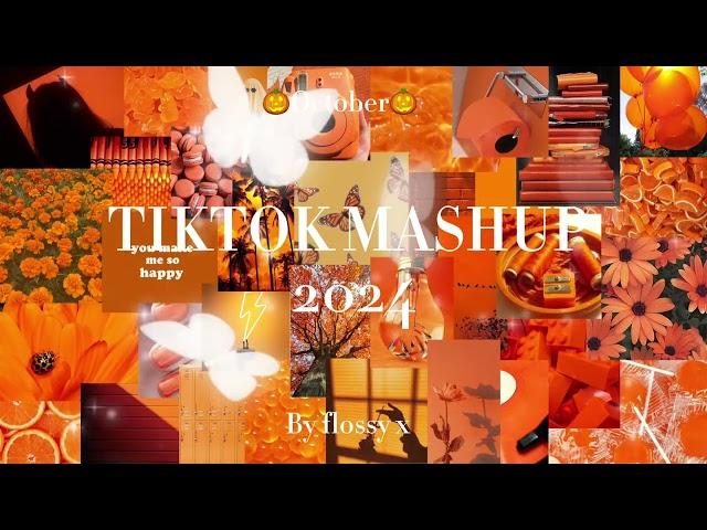 TikTok mashup 2024 October (not clean)