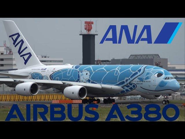 ANA Airbus A380 JA381A Takeoff from NRT 16R