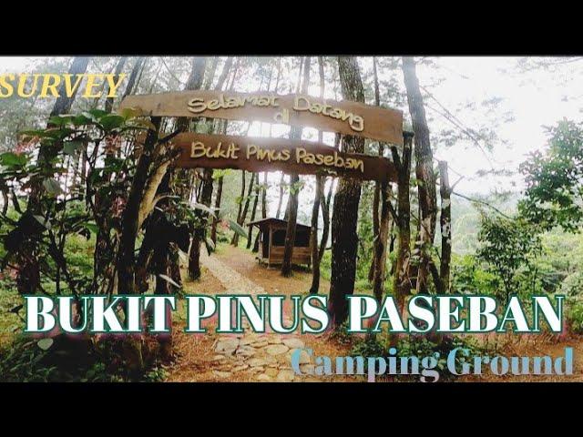 BUKIT PINUS PASEBAN CAMP || MEGAMENDUNG BOGOR || SURVEY LOKASI