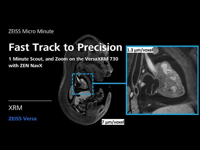 Fast Track to Precision with ZEISS VersaXRM 730 | XRM | ZMCC Live Demo | Episode 16