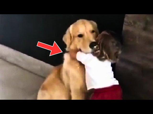 Girl Keeps Hugging Dog Before Being Put To Sleep. Then Vet Says: "Something Is Wrong!"