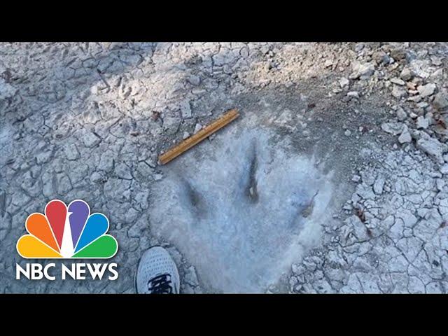 Texas Drought Reveals Dinosaur Tracks In Dried Up Riverbed