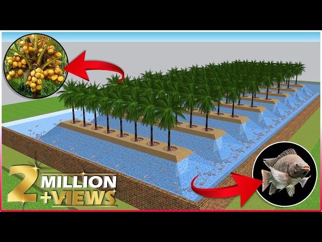 Integrated COCONUT and FISH Farming | Integrated Farming System Planning & Ideas | Farm Design