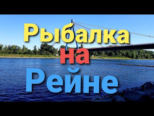 Рыбалка в Германии на Рейне