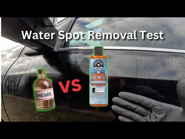 What Is The Best Water Spot Removal | Test With Results | Over 1 Year of Hard Water Spots Gone!