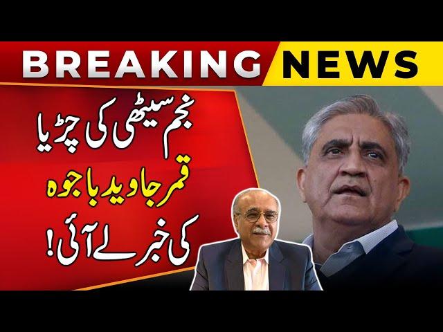 Najam Sethi Big Revelation about Qamar Javed Bajwa and Nawaz Sharif | Public News