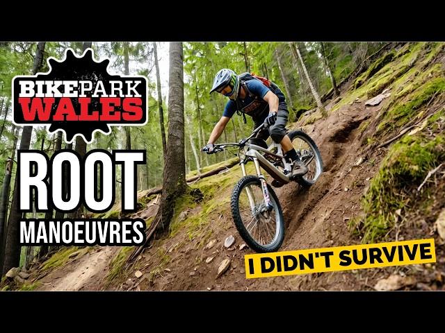 Root Manoeuvres Bike Park Wales