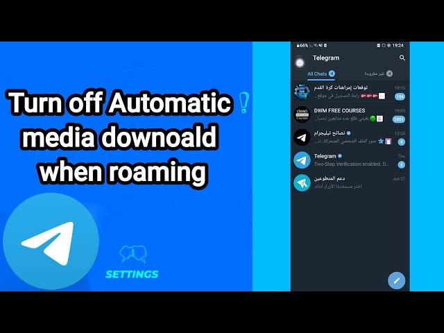 How to turn off automatic media downoald when roaming On Telegram