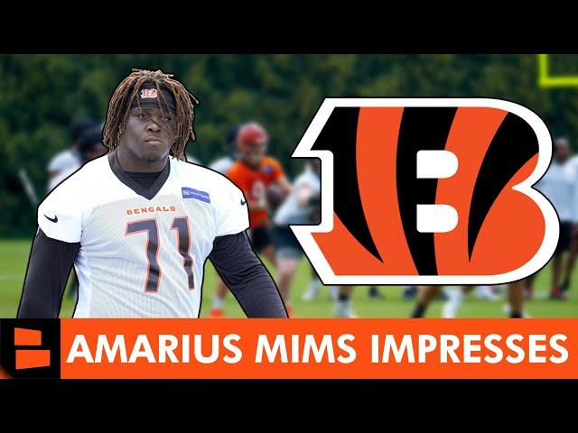 REPORT: Amarius Mims HYPED UP By Cincinnati Bengals Coaches | Bengals Rumors On ESPN Rookie Report