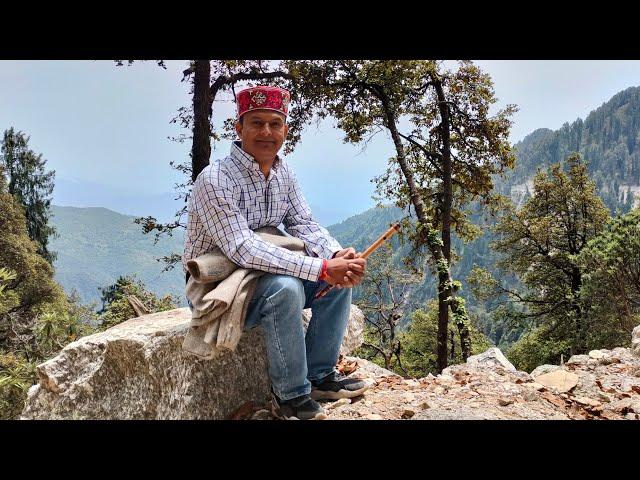 Morning Flute Music ! Himalyan Flute Music ! Best Pahadi Flute Music ! #viralflutemusic #flutebeatbo