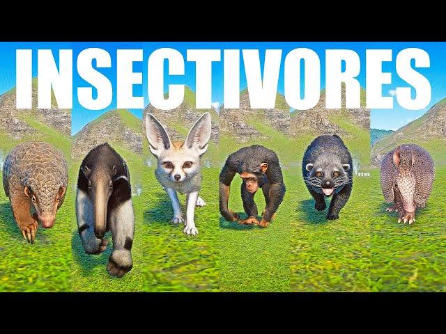 Insectivores Animals Speed Race in Planet Zoo included Armadillo, Binturong, Chimpanzee, Fox