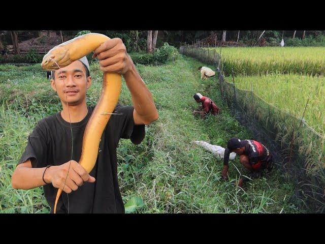 KALAU MEMANG REZEKI SPOT SEPERTI INI MASIH BISA STRIKE BELUT MONSTER