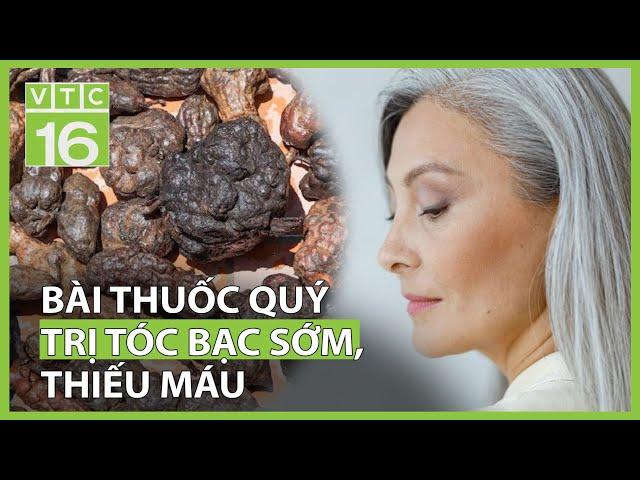 Bài thuốc quý trị tóc bạc sớm, thiếu máu | VTC16