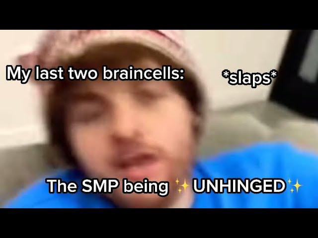 The DSMP being UNHINGED for 4 minutes and 33 seconds