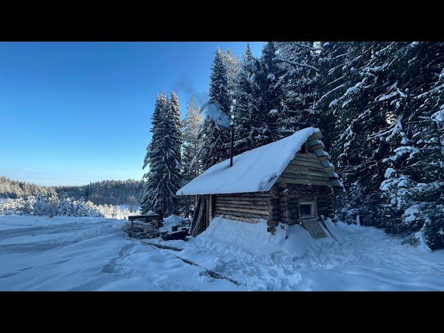 Forest hut at the edge of the forest sheltered and warmed | Prepared firewood |