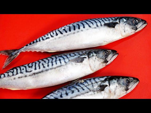 Mackerel can surprise you! Part 2 I WANT YOU to try these 5 RECIPES