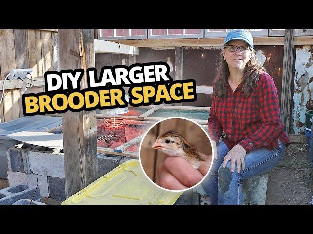 How to make a brooder for Chicks, Ducklings, and Keets. DIY Larger brooder space.