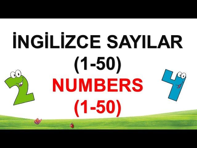 İngilizce Sayılar | 1 den 50'ye kadar