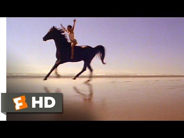 The Black Stallion (8/11) Movie CLIP - Riding the Stallion (1979) HD