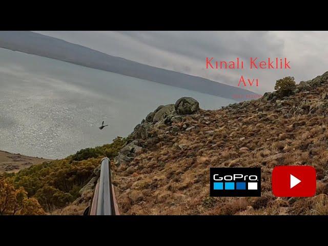 2023 Kınalı Keklik Avı Gopro 10 Denemeler! Partridge hunting Охота на куропаток