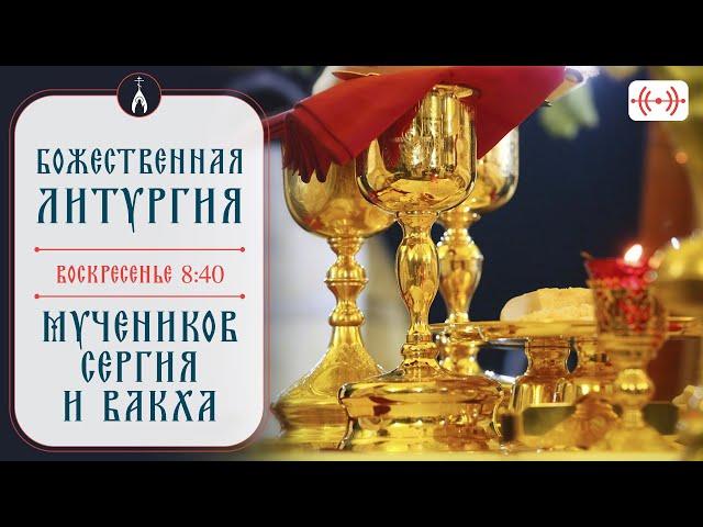 БОЖЕСТВЕННАЯ ЛИТУРГИЯ. Трансляция 20 октября (воскресенье) в 08:40