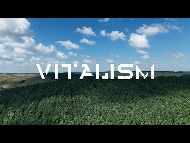 VITALISM | TRIBUS | OFFICIAL MUSIC VIDEO