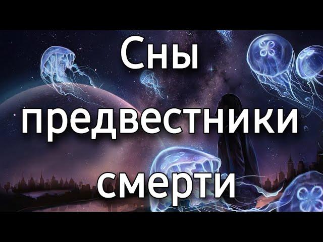 Какими бывают сны предвестники смерти, катастроф и несчастных случаев? | Толкование снов