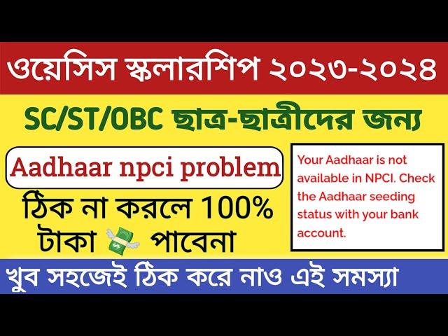 Aadhar npci not available 2023-2024 |Oasis scholarship npci problem solved|payment problem for npci