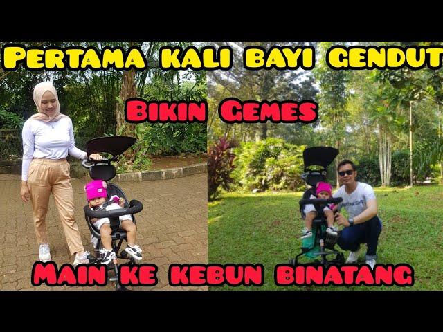 PERTAMA KALI BAYI GEBDUT  MAEN KE KEBUN BINATANG