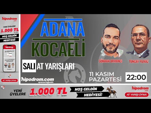 12 Kasım 2024 // Adana ve Kocaeli At Yarışı Tahminleri // Gökhan Ormancı - Tuncay Yılmaz