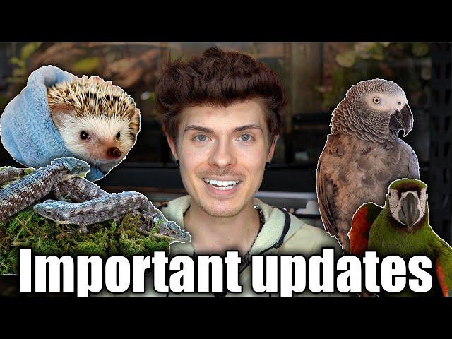 Important updates about my animals