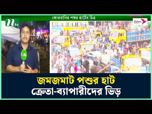 জমজমাট পশুর হাট, ক্রেতা-ব্যাপারীদের ভিড় | NTV News
