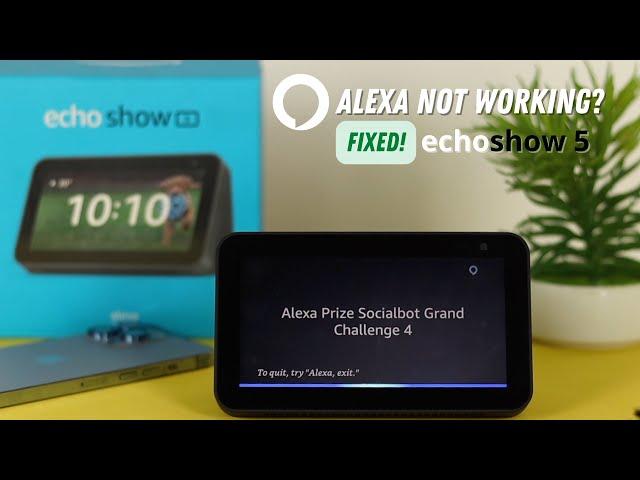 Fix- Echo Show 5 Not Responding To Voice Commands!