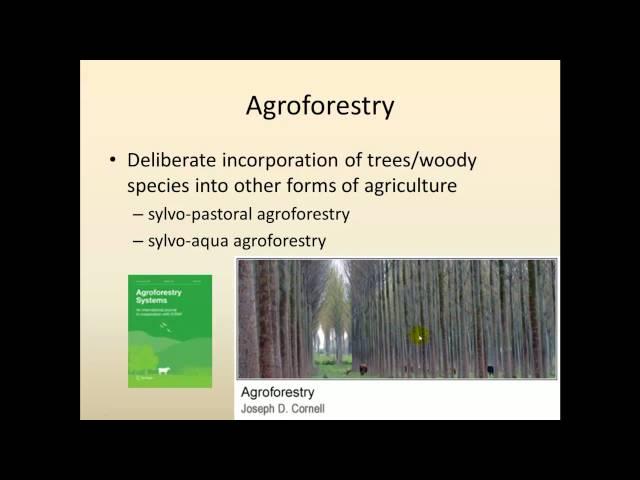 Forestry Part1