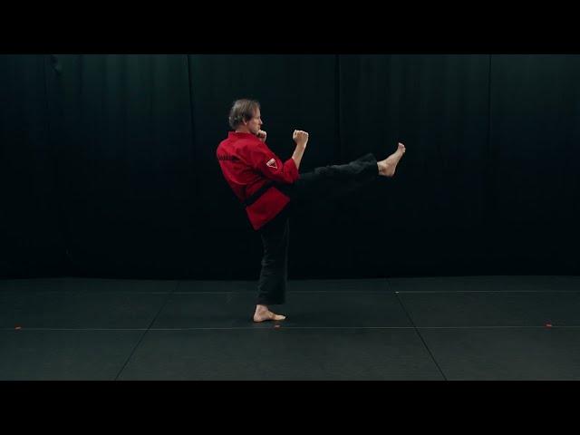 Front Kick Basics (Thrust and Snap)