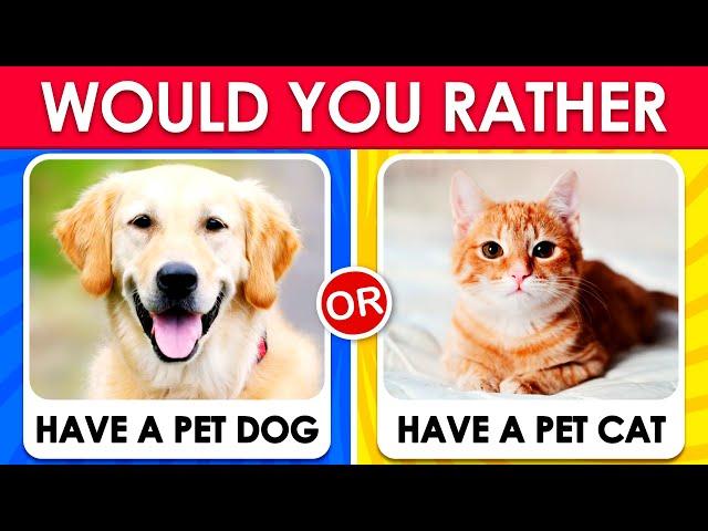  Would You Rather - Dogs and Cats Edition 