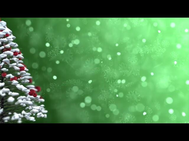 Christmas Tree    Green Screen Video  #shorts #green screen #stock footage